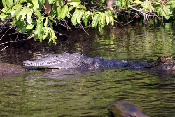 I think he's smiling at us.